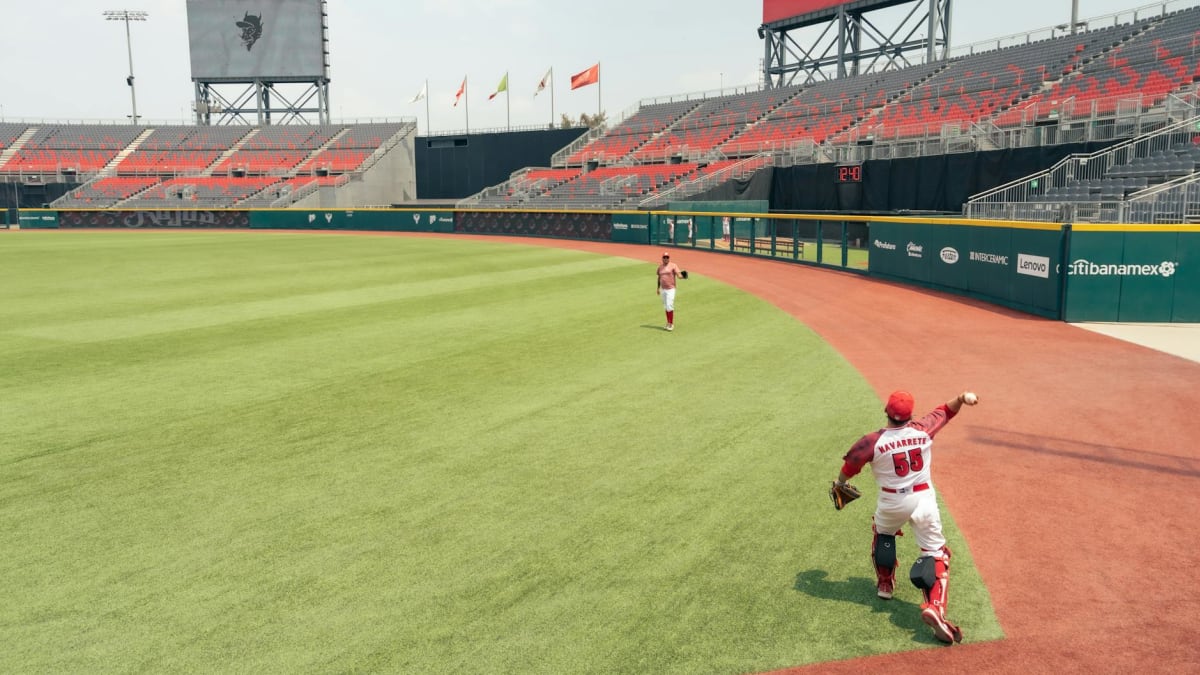 直近の試合ハイライト！大谷＆山本の活躍は？