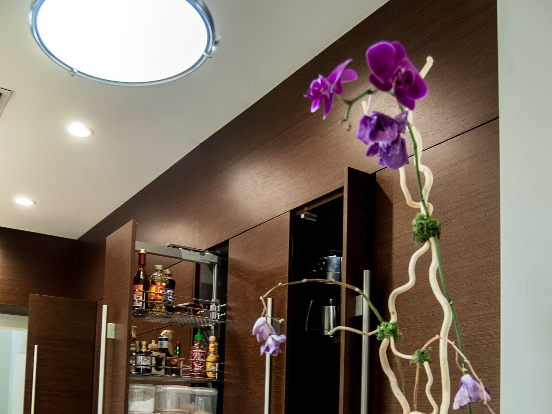 The Mazer Residence, view 7