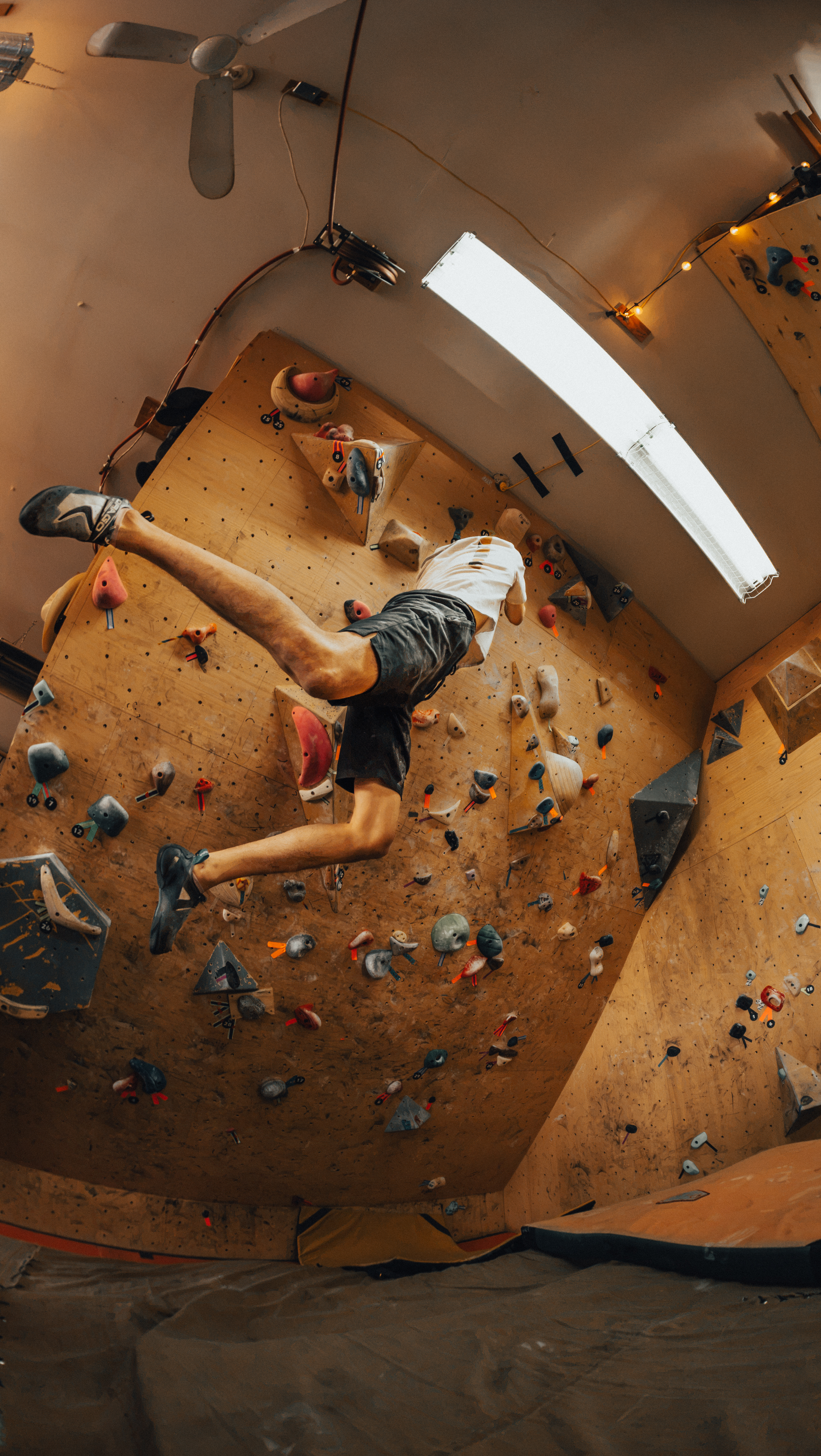 Climbing Category Photo