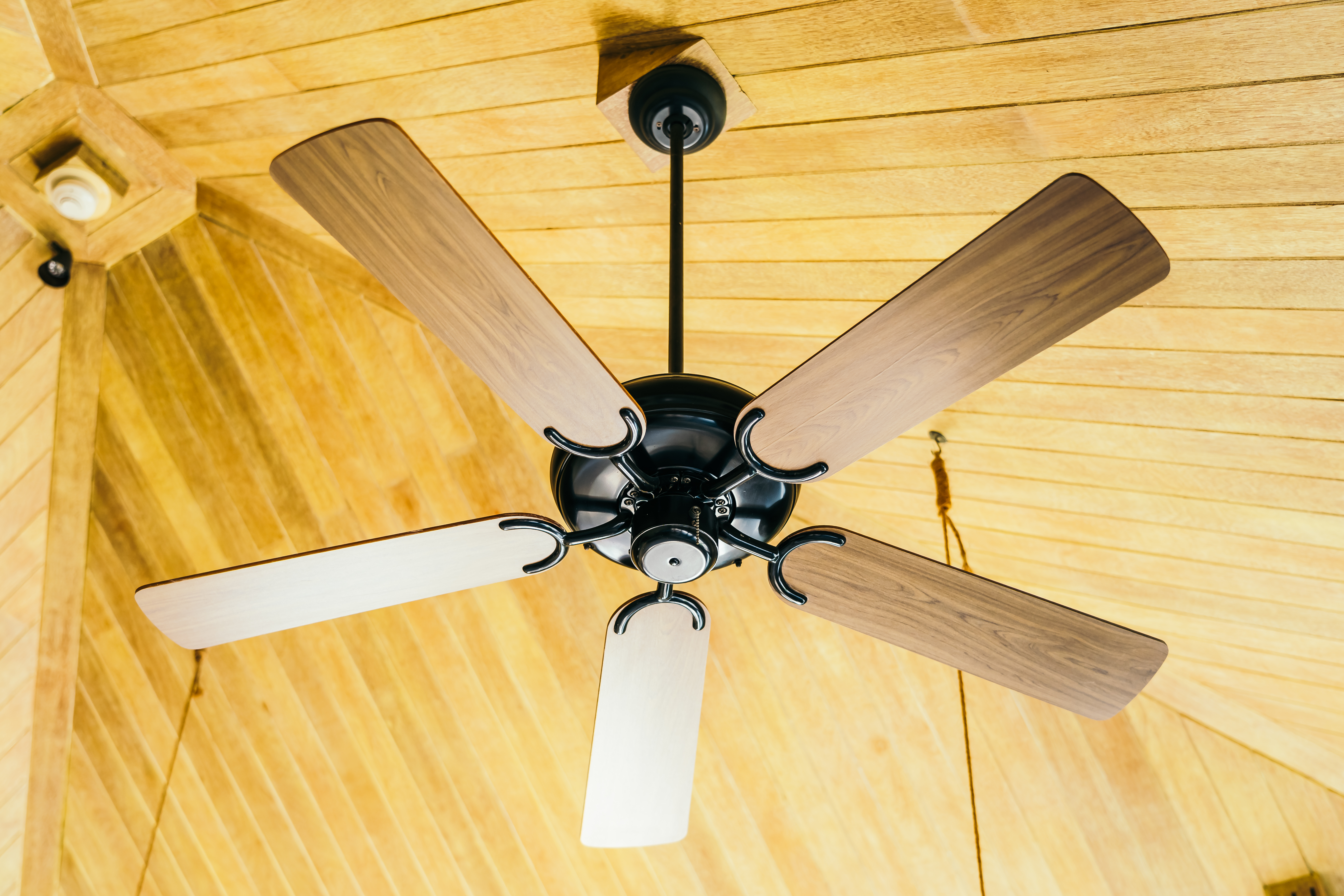 Ceiling Fan Installation / Replacement Ceiling Fan Installation / Replacement