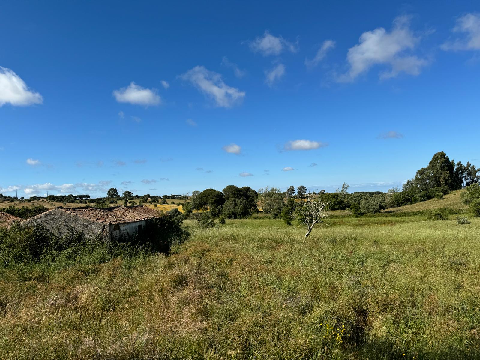 slide.image