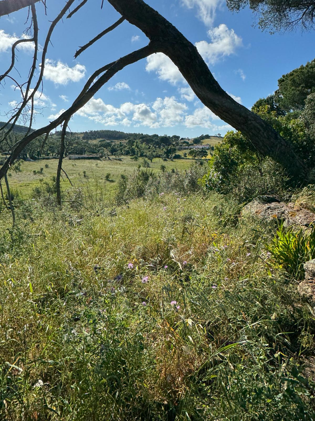 slide.image