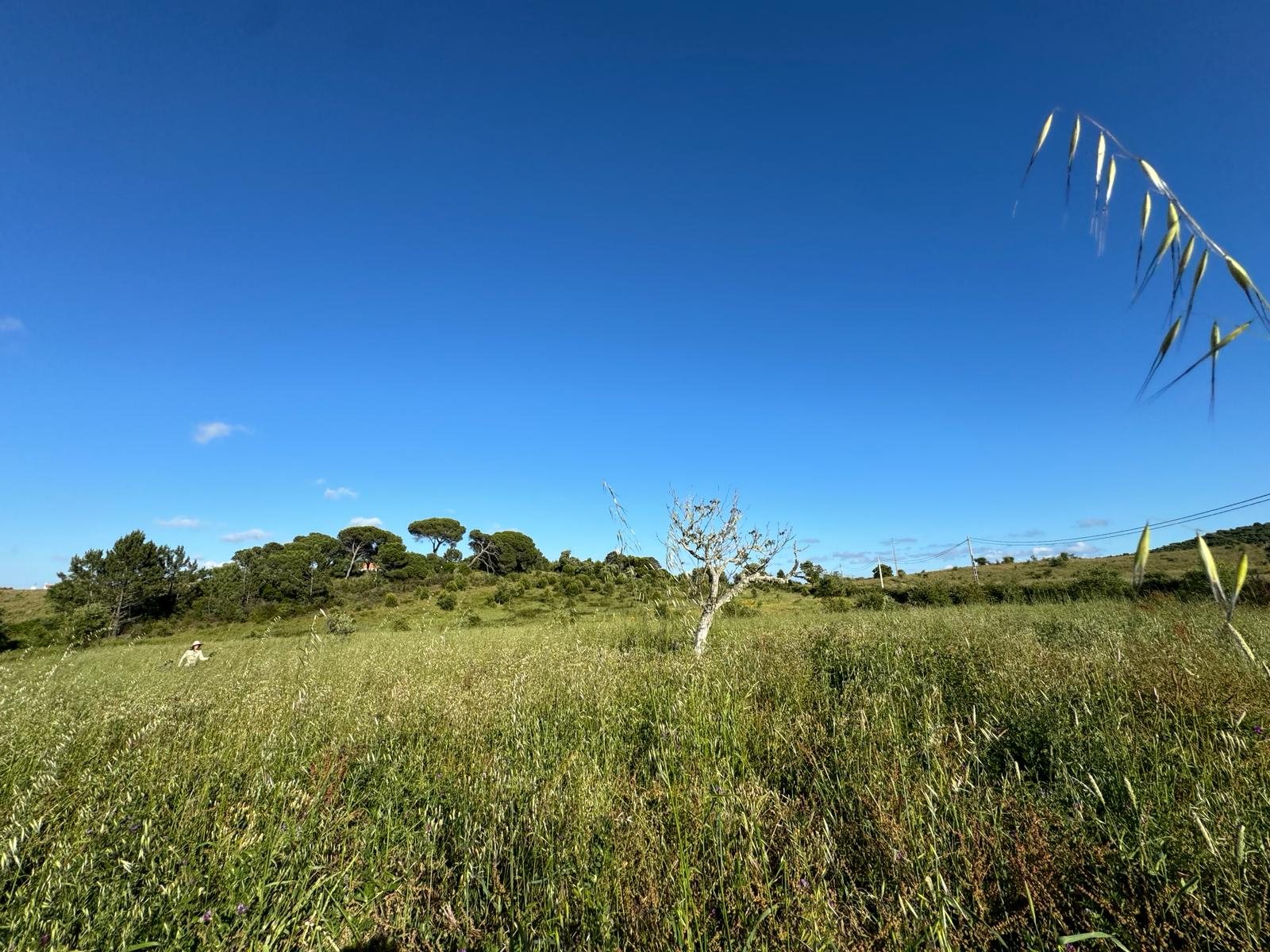 slide.image