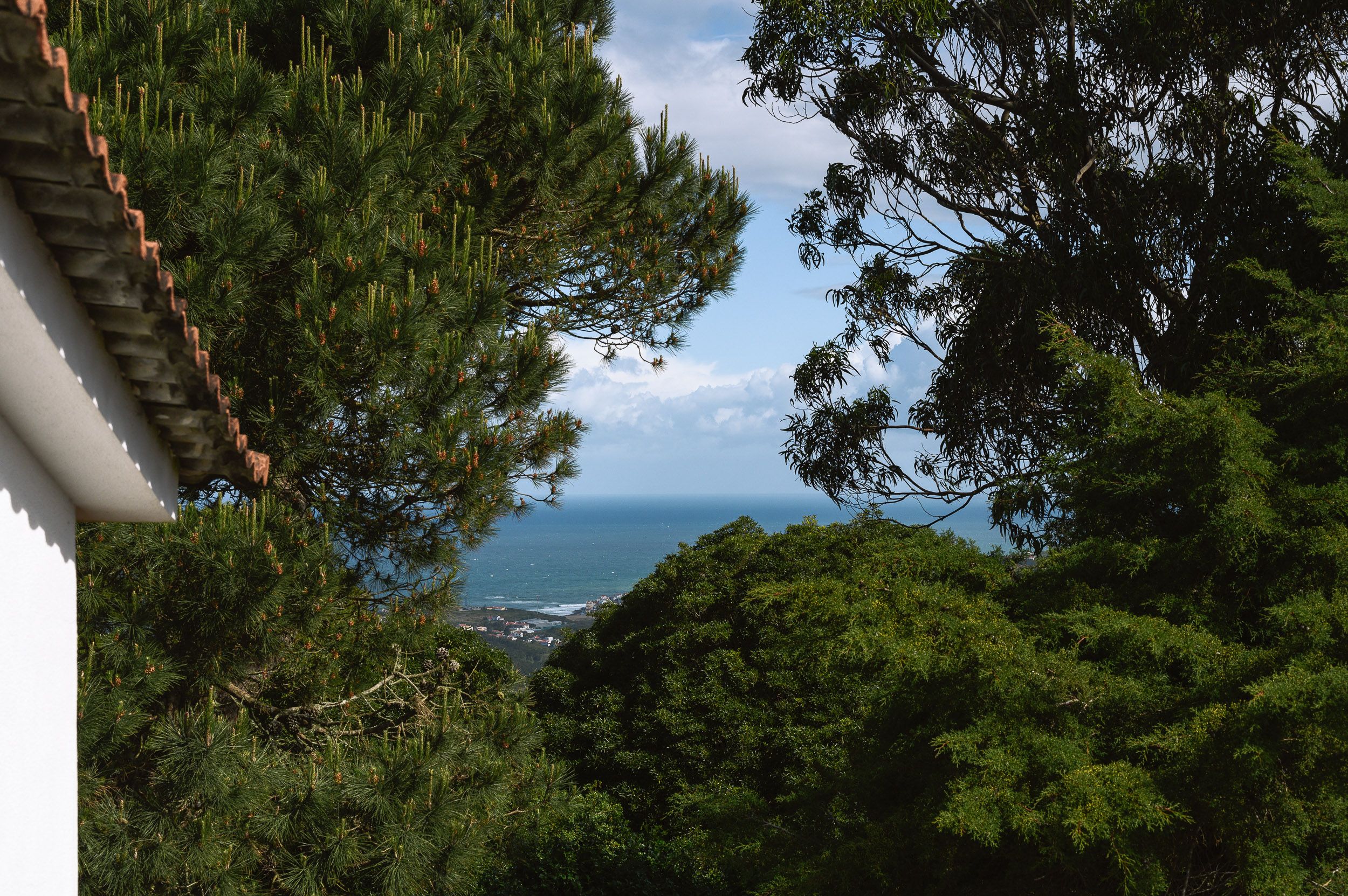 slide.image