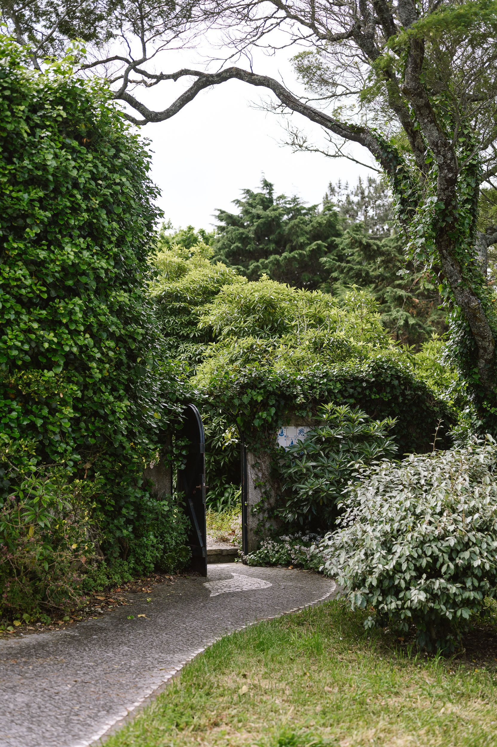 slide.image
