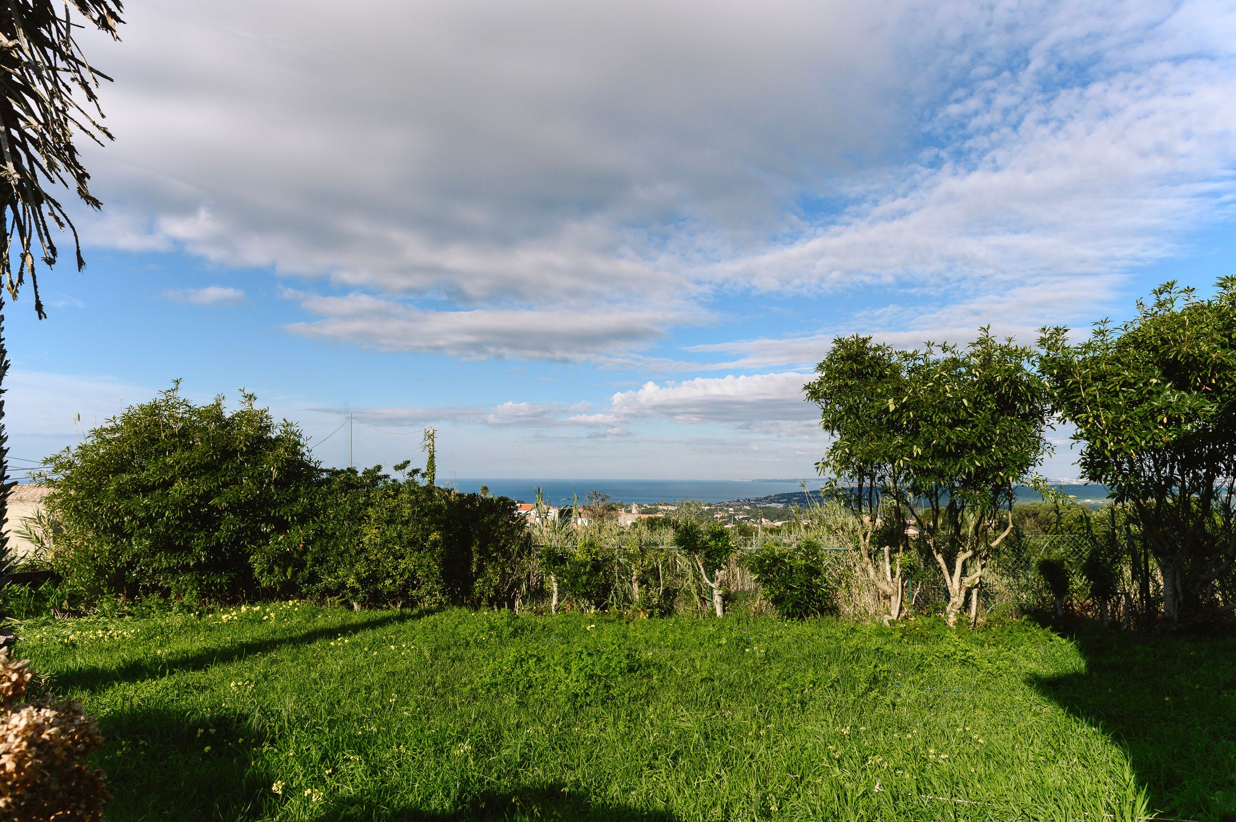 slide.image