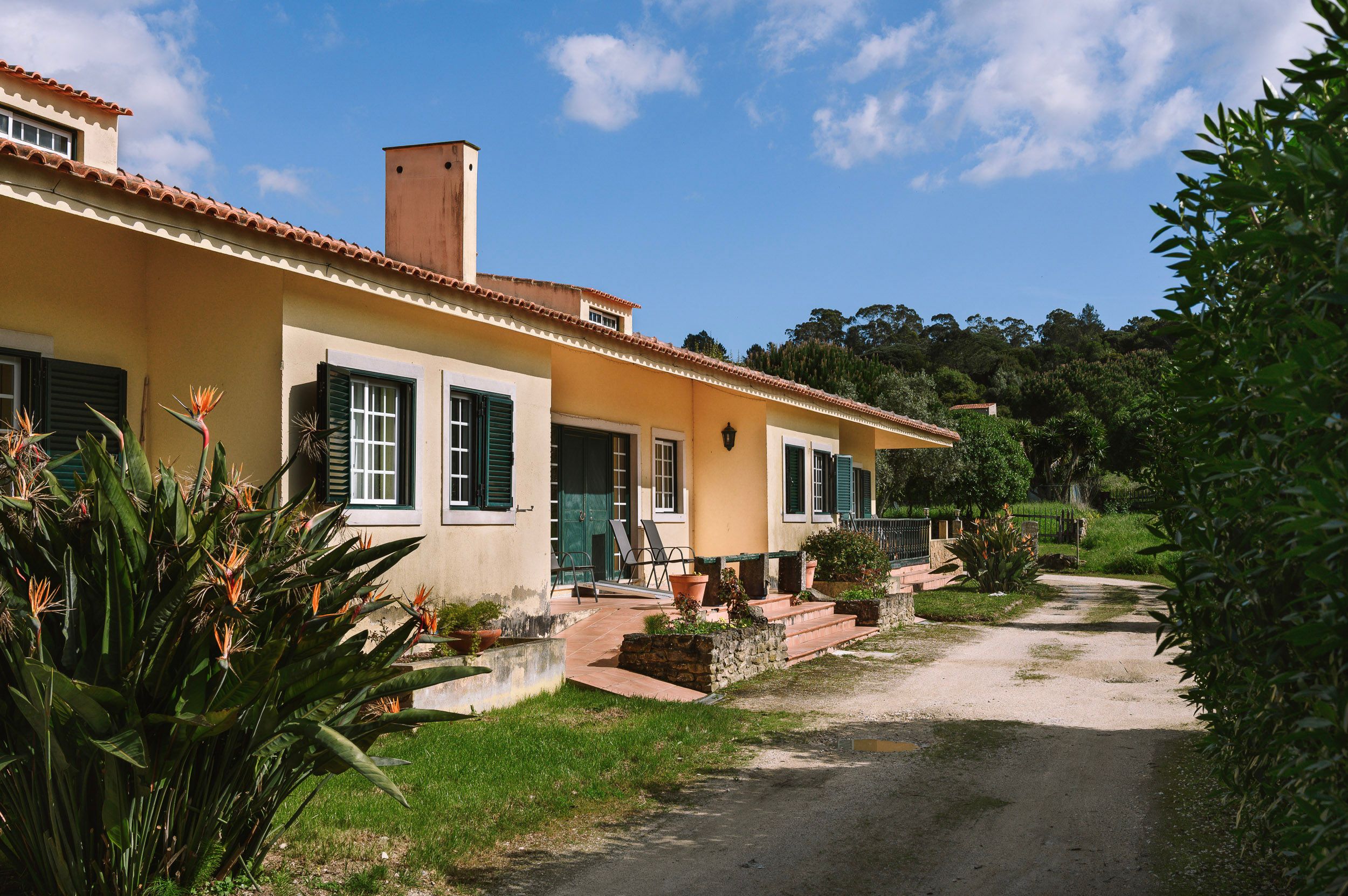 slide.image