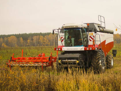 Как работало в 2022 году сельское хозяйство Подмосковья?