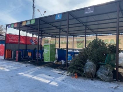 Акция «Подари своей елке вторую жизнь» пройдет в Дзержинском