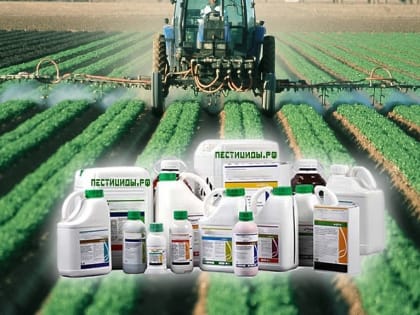 Важно соблюдать установленные регламенты и правила применения пестицидов и агрохимикатов