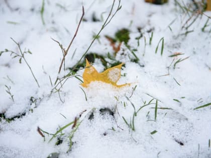 Первый снег в городе: как он влияет на повседневную жизнь