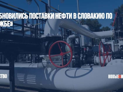 Возобновились поставки нефти в Словакию по «Дружбе»