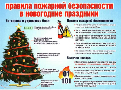 Соблюдение правил пожарной безопасности поможет мытищинцам встретить Новый год без происшествий