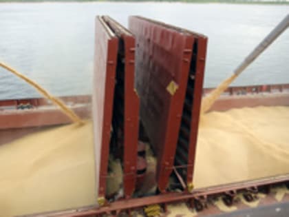 Урожай зерна РФ в 2022 г вырос на 26,7% в чистом весе