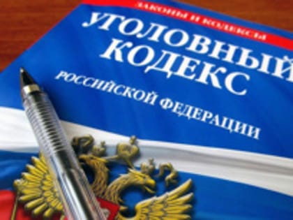 Ущерб более полумиллиона рублей: подозреваемого в кражах из дачных домов задержали в Хабаровске