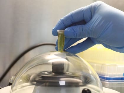 В Подмосковье изобрели наноалмазный термометр