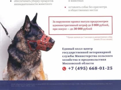 Мытищинцам напоминают правила выгула собак
