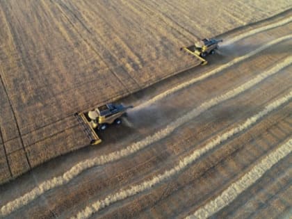 Российское зерно назвали новым мощным оружием, влияющим на весь мир