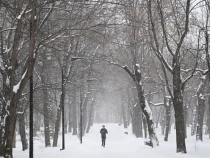 Врач дал советы по лучшему избавлению от отложений жира на животе