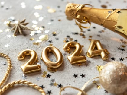 Инвестор Аверс дала советы по аренде дома на Новый год