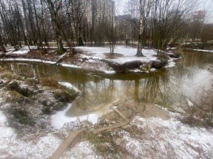 Известный производитель безалкогольных напитков ответил за загрязнение реки в Солнечногорске