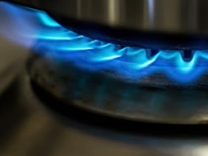 Турция продолжит переговоры с Россией на тему отсрочки оплаты природного газа