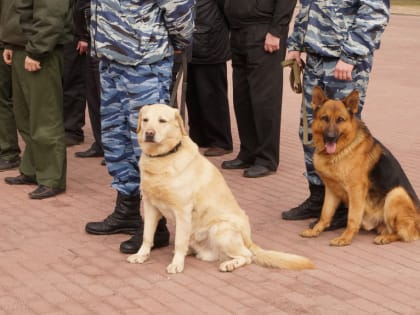 Полиция Подольска разыскивает 17‑летнюю девочку, пропавшую неделю назад