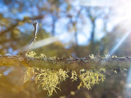 Синоптик Ильин пообещал нечто приятное жителям Подмосковья во второй половине марта