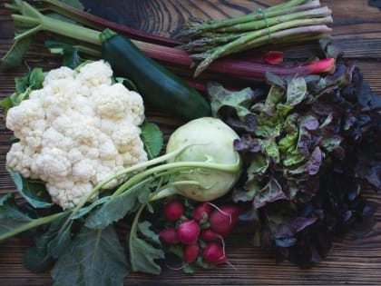 В Серебряных Прудах построят овощехранилище размером более 3 тысяч «квадратов»