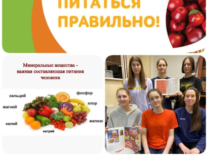 Здоровое питание