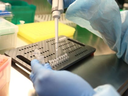 Сразу три случая лихорадки Денге выявили после возвращения туристов из-за рубежа