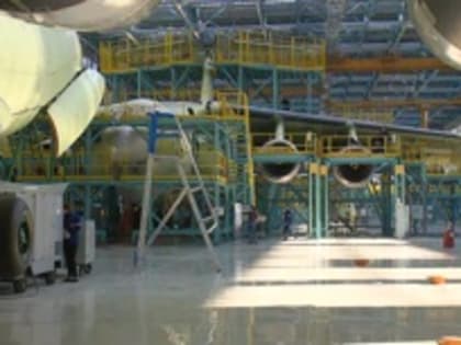 В России создадут материалы для   крыльев самолетов-птиц