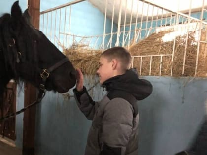 В Елькино планируют реализовать проект конного детского реабилитационного центра