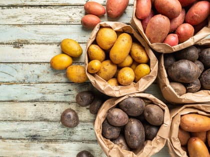 В Роскачестве рассказали, как правильно выбрать картофель