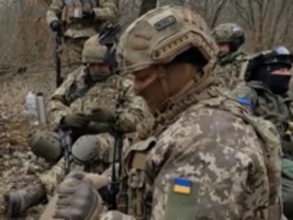 Украина собирает для наступления штурмовые бригады