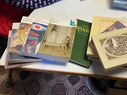 Единороссы Воскресенска передали несколько десятков книг для беженцев ДНР и ЛНР