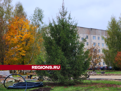 Новые инициативы по улучшению качества жизни в городе