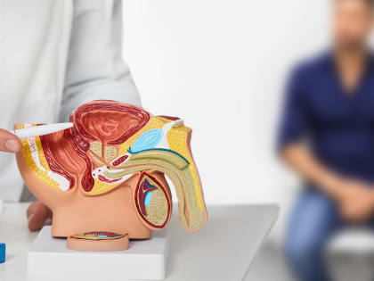 Lenta.ru: Малышева и Гандельман рассказали о полезных для простаты упражнениях