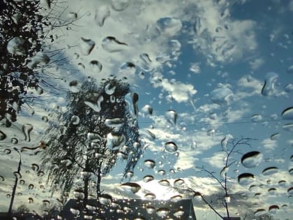 Погода в Серпухове: дожди и прохлада на выходных