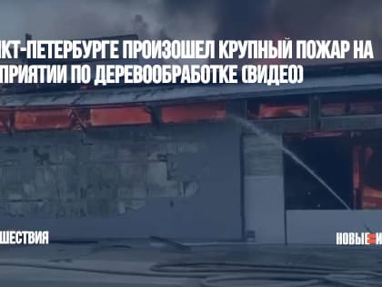 В Санкт-Петербурге произошел крупный пожар на предприятии по деревообработке (ВИДЕО)