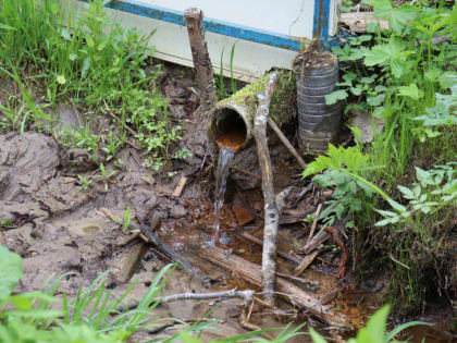 Местные жители деревни Лобаново обнаружили природный источник воды