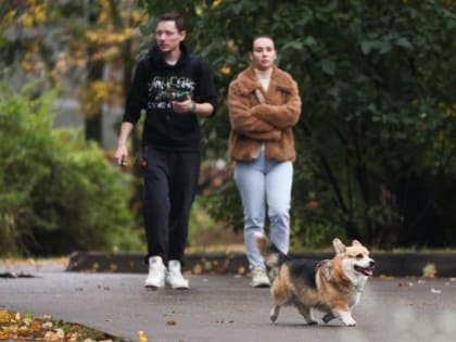 Температурные колебания в Подмосковье: прогноз на 10 октября