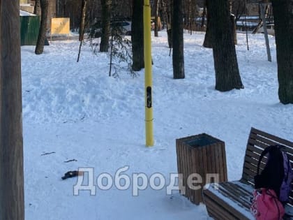 В Одинцово заметили оголенные провода на детской площадке