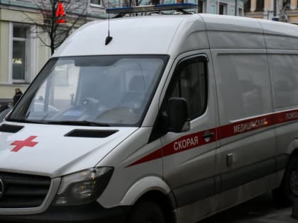 В Подольске трое детей жили в захламленной квартире с тараканами