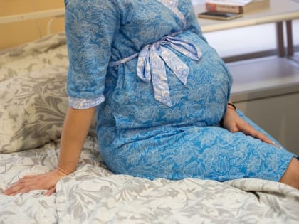 Донорство яйцеклеток: доходы и перспективы