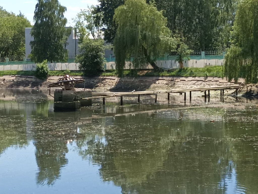 Водоем в парке. Парк у пруда Бекет. Кировград прудик парк. Ближайший пруд.