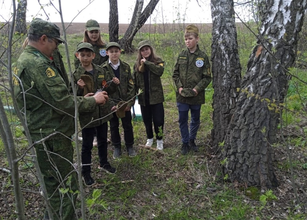 Где появилось первое школьное лесничество. Лесничество. Лесное хозяйство в Иваново. Школьное лесничество на платформе. Платформа ГС В Лесном хозяйстве.