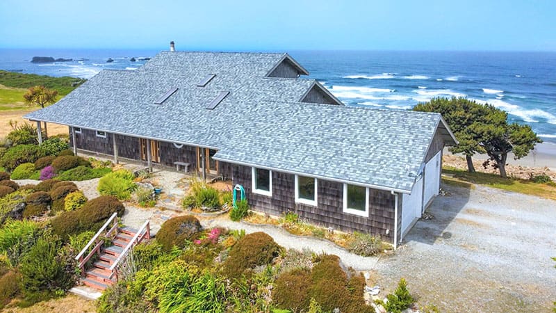 Shore Pines