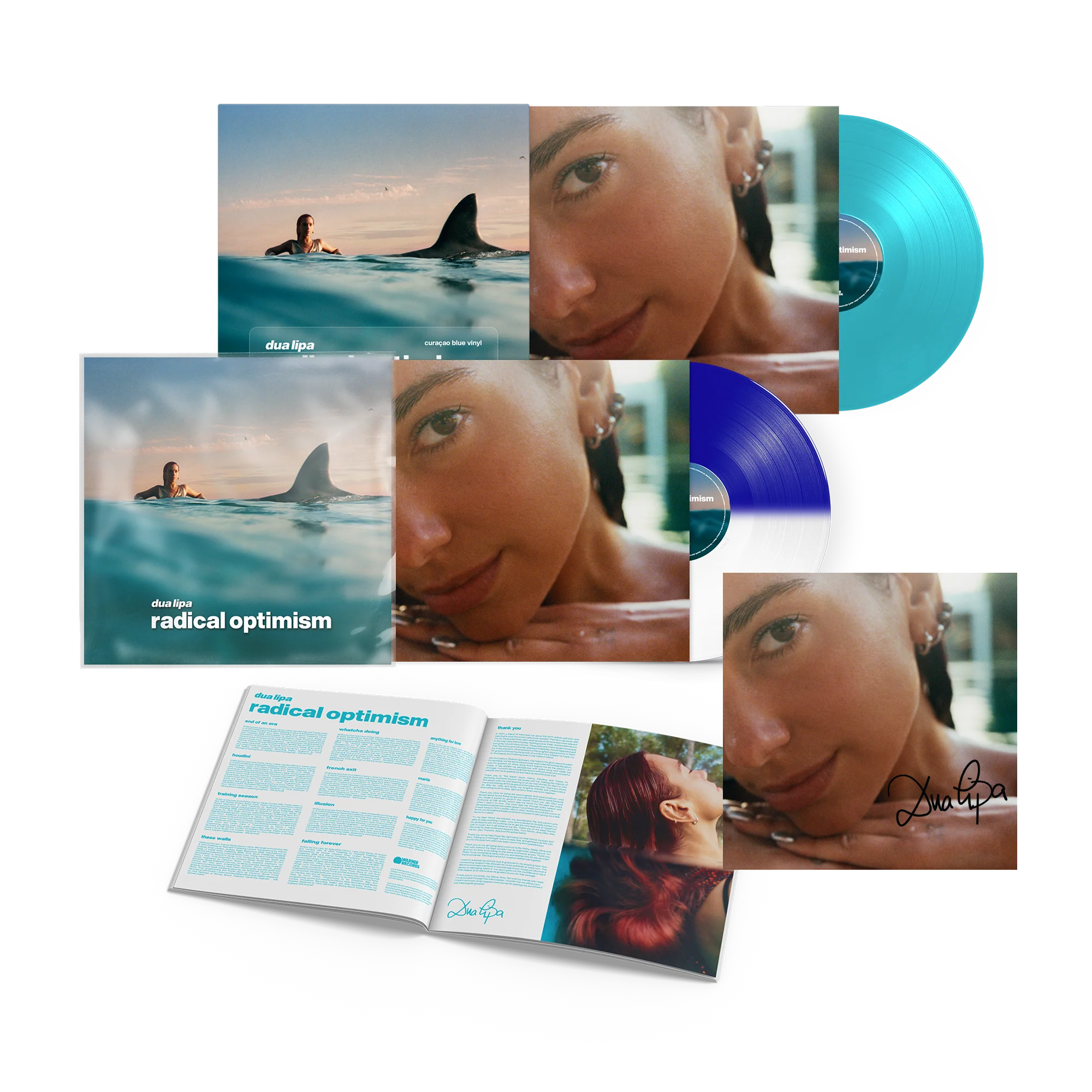 Radical Optimism vinyl