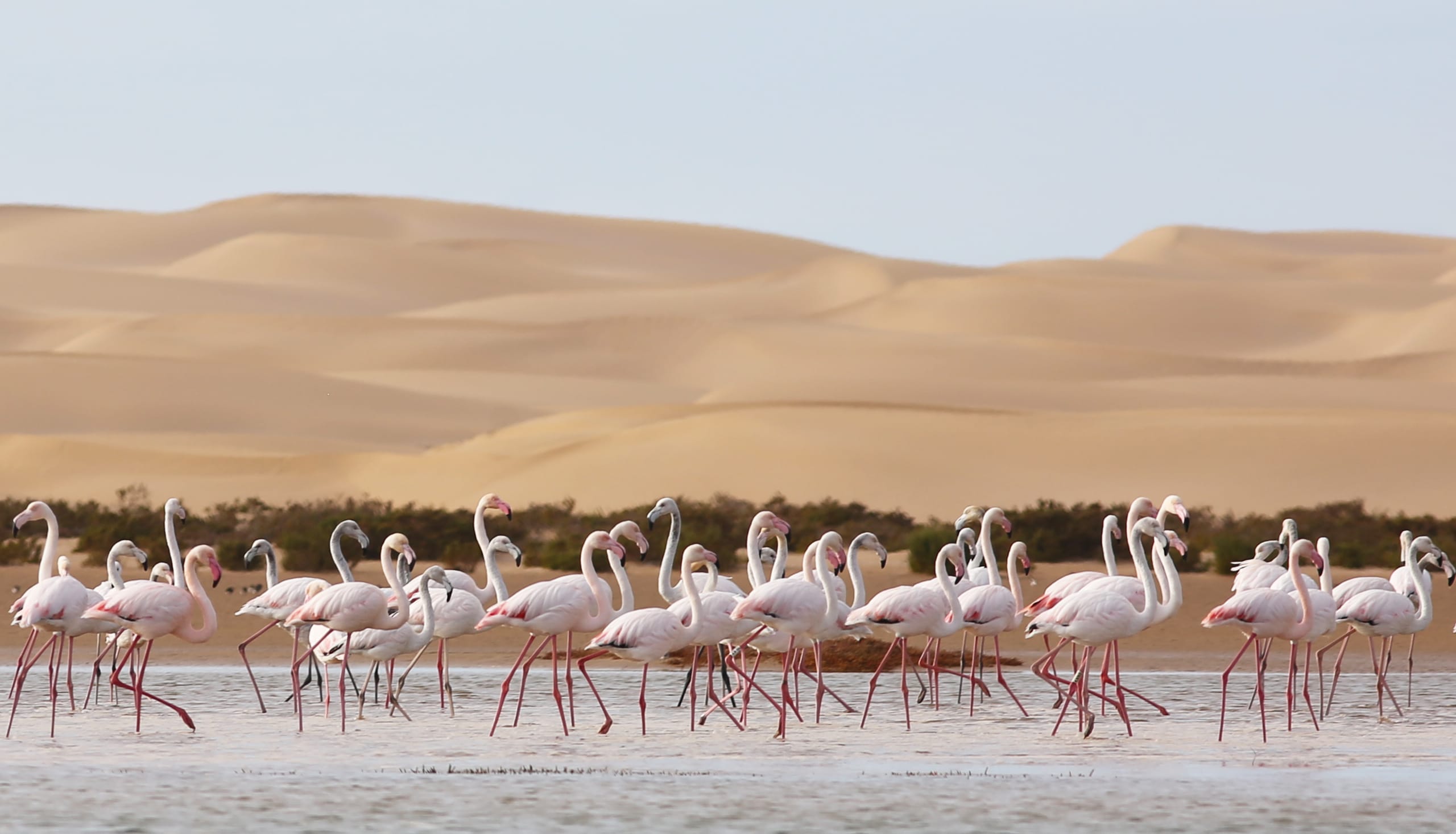 Parc National de Khnifiss